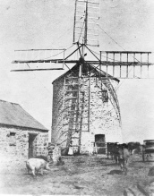 Windmill Cir 1900.jpg