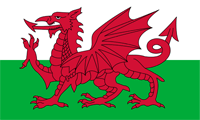 HS Membership Welsh 2025.pdf